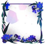 Frame for Asieer