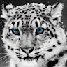User avatar for {Mary}