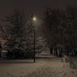 User avatar for Дядя Валера людоед